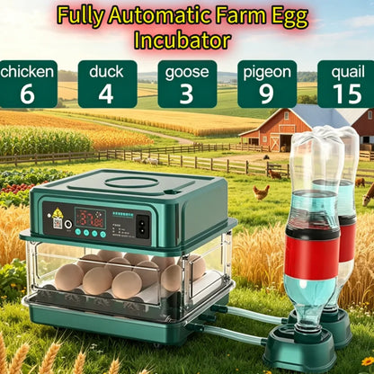6 Eggs Automatic Incubator with automatic water filling Hydrating Egg Flipping and Temperature Control for Bird,Quail,Geese Egg