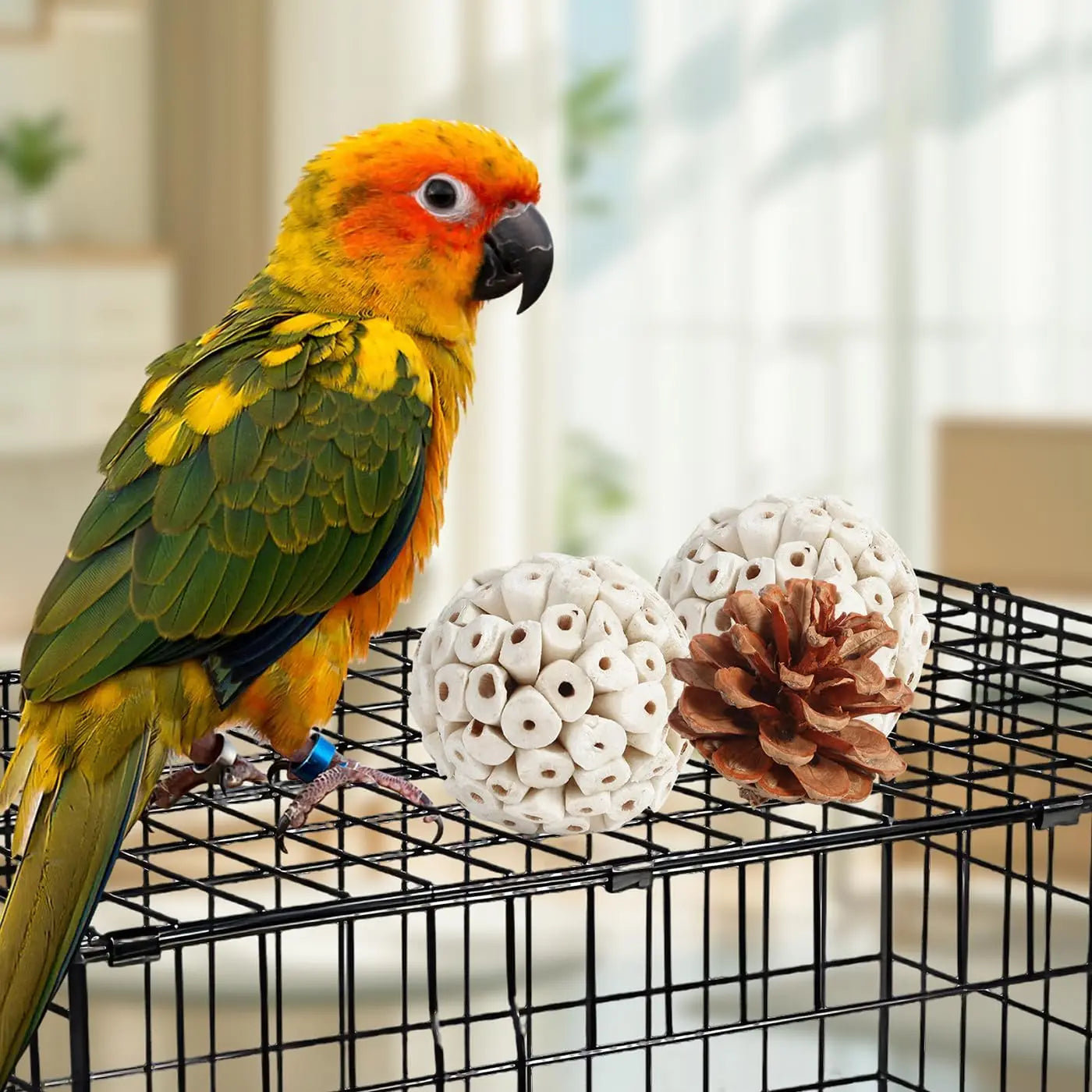 Bird Toys Parrot Toys Natural Bird Foraging Box Foot for Parakeets,Cockatiels,Conures,Love Birds,and Other Small to Medium Birds