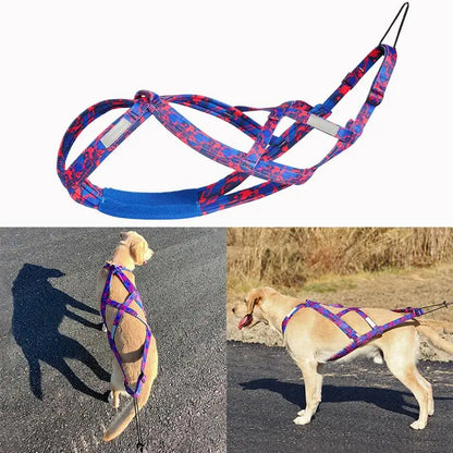 Dog Running Harness Sport Work Out Bikejoring Skijoring Speed Training Dog Pulling Harness Sled Harness