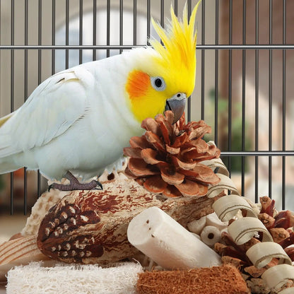 Bird Toys Parrot Toys Natural Bird Foraging Box Foot for Parakeets,Cockatiels,Conures,Love Birds,and Other Small to Medium Birds