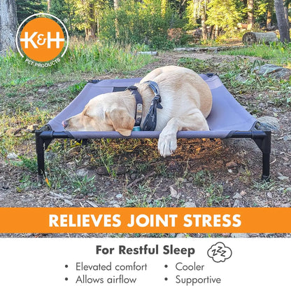 Elevated Cooling Dog Cot for Large Breeds, Portable Outdoor Pet Bed with Washable Mesh Cover, 42x30in