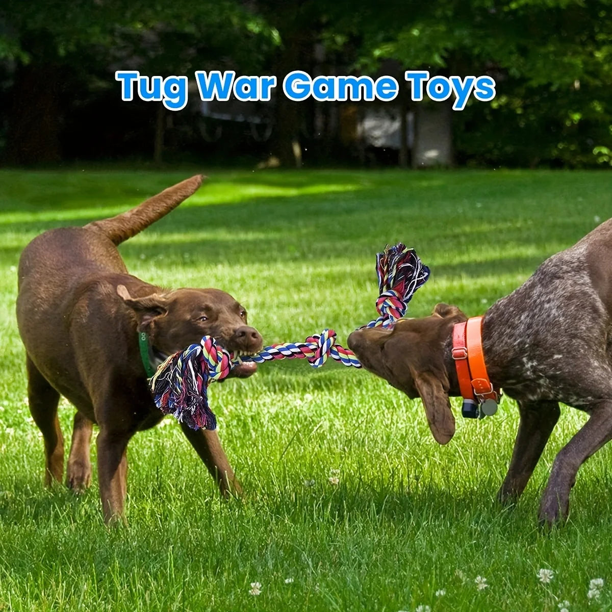 Knot Dog Toys Indestructible Durable Dog Chew Toys Tug Of War Interactive Toys Suitable For Medium And Large Dogs