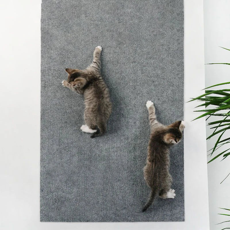 Self-Adhesive Trimmable Cat Scratching Carpet Sofa Furniture Protector