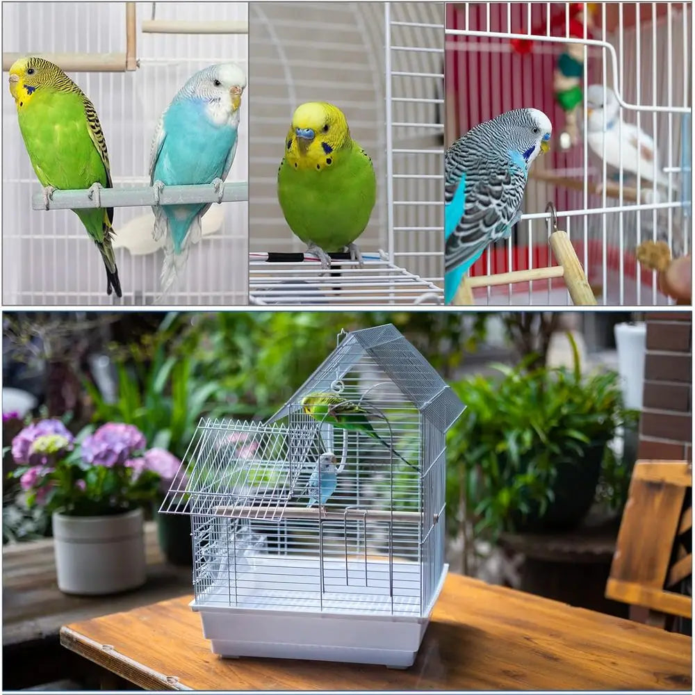 Compact Bird Cage Kit for Small Birds with Accessories - Ideal for Parakeets, Lovebirds, Parrotlets, and Canaries