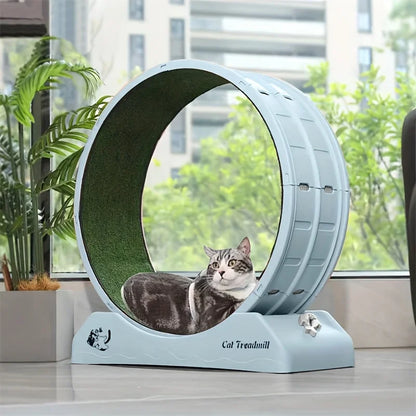 1Pc Indoor Assembly, Cat Roller Treadmill,Silent Fitness Cat Running Wheel With Carpeted Runway