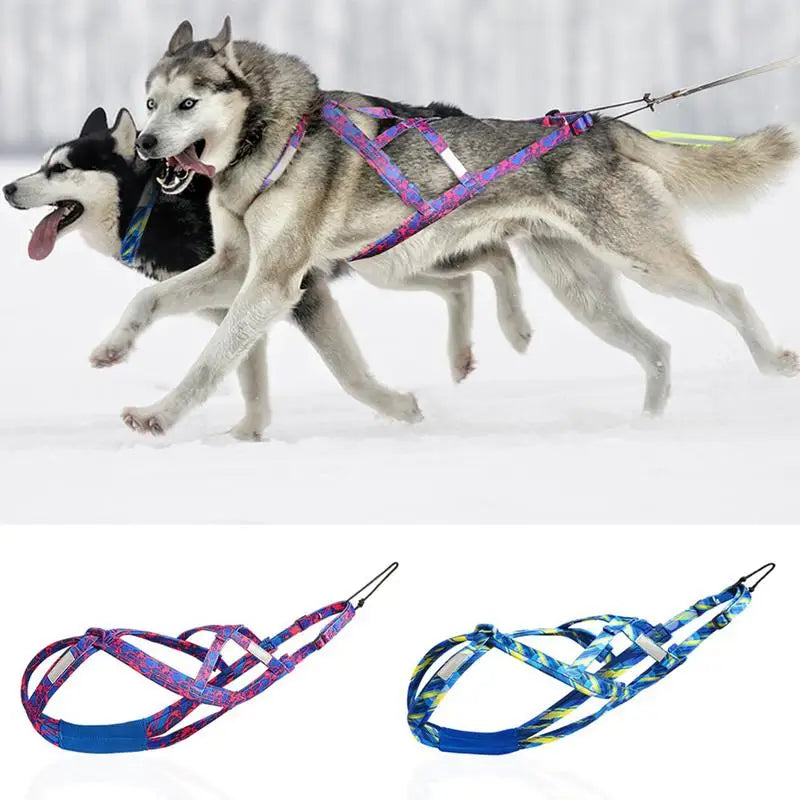Dog Running Harness Sport Work Out Bikejoring Skijoring Speed Training Dog Pulling Harness Sled Harness