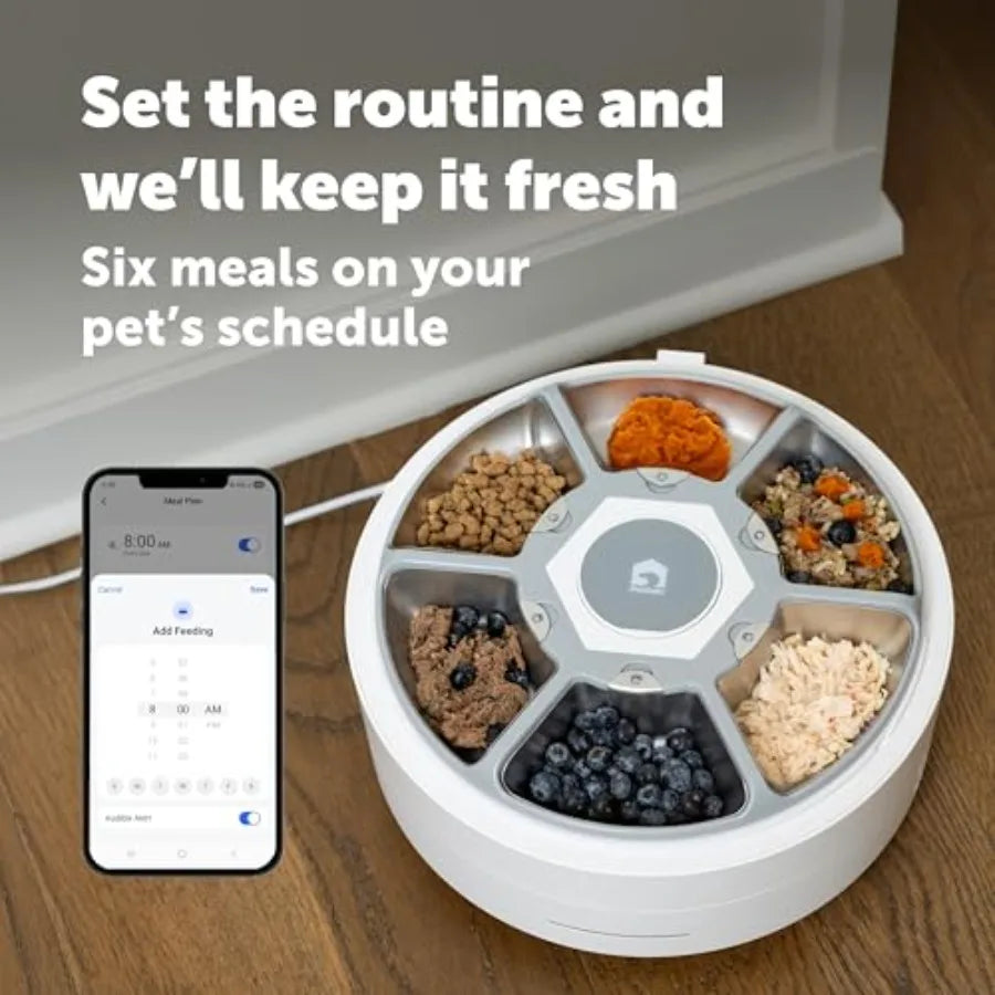Automatic wet food feeder for cats small dogs with app control stainless steel inserts white 6 fresh meals refrigerated storage