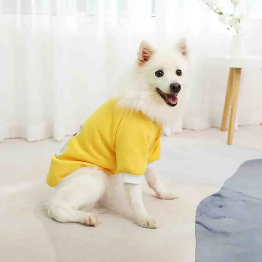 Pet Hoodies Clothes For Small Dogs Puppy Jacket Sweatshirt Coat Labrador Costume Autumn Winter Keep Warm