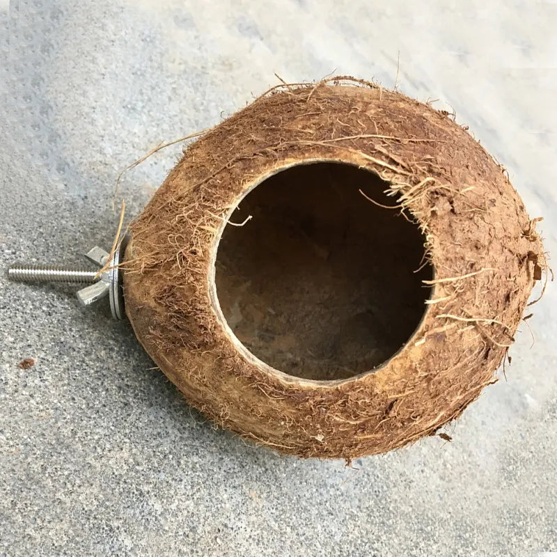 Natural Coco Hideaway Parrot Birds Reptile Coconut Shell Bird Nest Cage Hanging Toy for Budgies Parakeet Cockatiels Hamster House