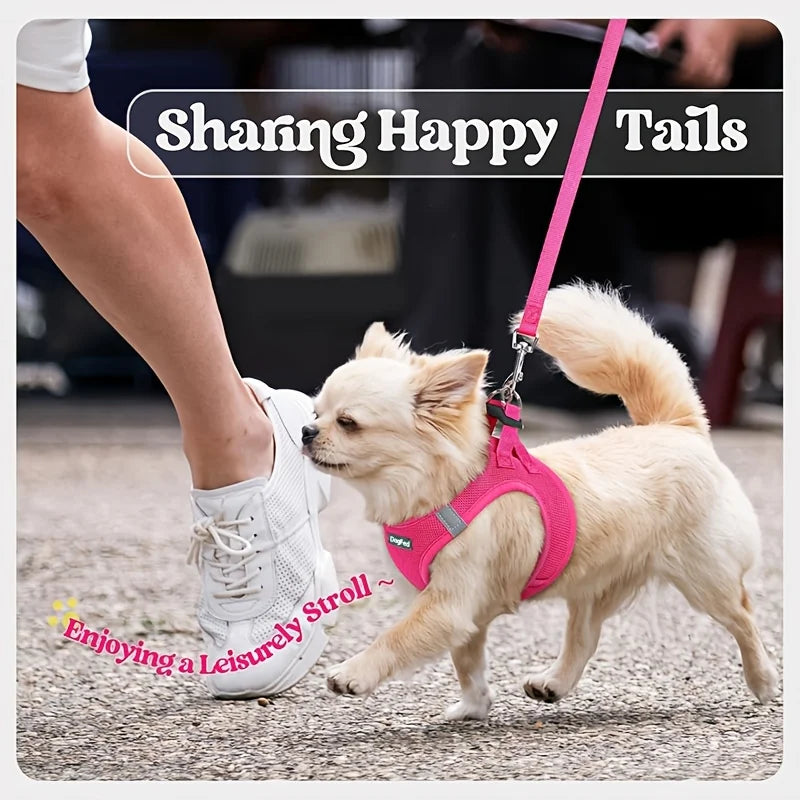 Soft Lightweight Dog Harness & Leash Set, Breathable Mesh Reflective Pet Vest for Daily Walking