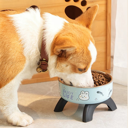 Elevated Pet Food Bowl Anti-slip Raised Stainless steel Cat Food Water Bowl with Stand Pet Feeding Drinking Bowls