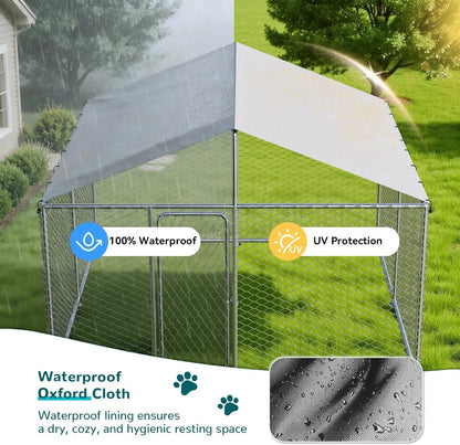 10'x10' Large Outdoor Dog Kennel Outside for Large Dogs, Heavy Duty Dog Enclosure with Wire Mesh