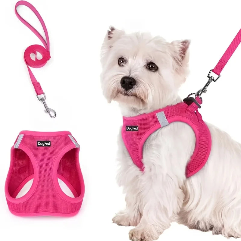 Soft Lightweight Dog Harness & Leash Set, Breathable Mesh Reflective Pet Vest for Daily Walking