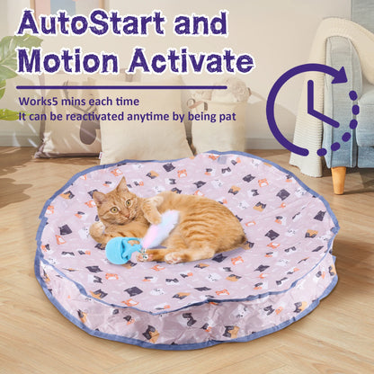 Interactive Cat Toy Reusable Motion Activate Chirping Cat and Mouse Catching Game for Pet Hide and Seek