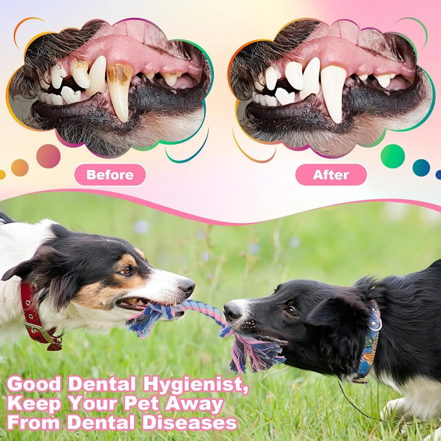 Interactive Tug of War Dog Toy, Braided Cotton Rope for Pulling & Chewing, Bonding Fun with Your Pet