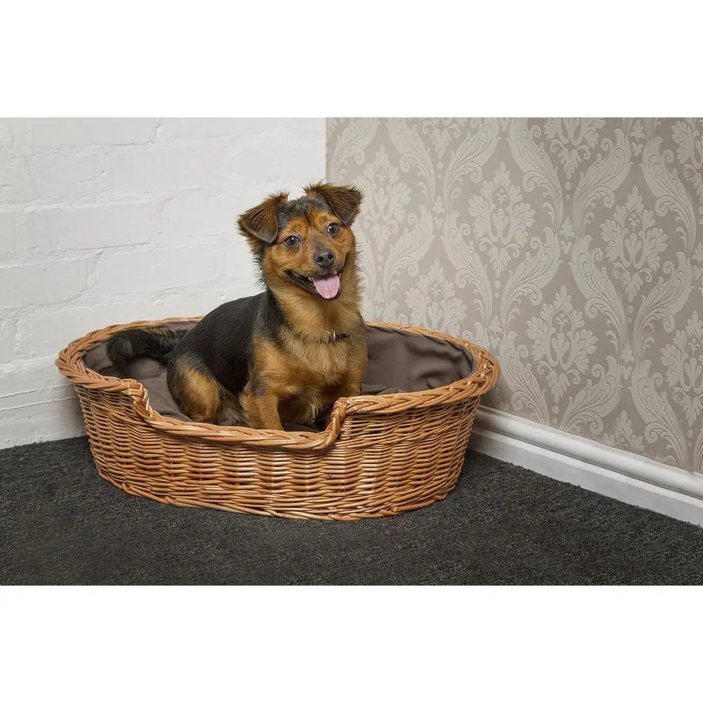 Extra Large Wicker Dog Bed with Cushion