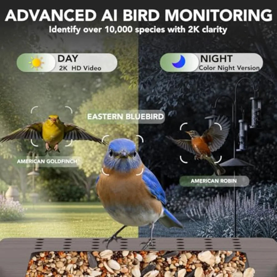 Smart Bird Feeder with Camera Solar Powered - Biomimetic Design 2K Video AI