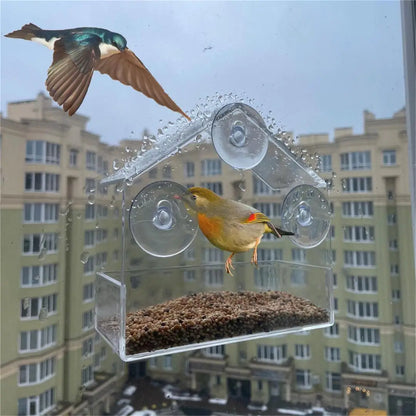 Acrylic Bird Feeder Clear Window Outside with Suction Cup for Garden Outdoor Backyard Wildlife Birding