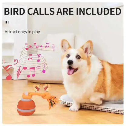 Smart Dog Toys Interactive Teasing Ball With Motion Activated Automatic Moving Squeaky Dog Toy Balls Puppy Chew Toys Knot Rope