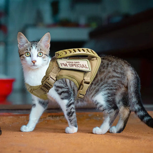 Tactical Cat Harness for Walking Escape Proof Adjustable Pet Vest Harness Soft Mesh with Control Handle for Large Cat Small Dog