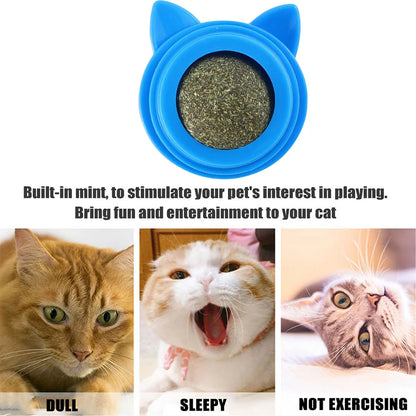 Rotatable Cat Cleaning Toy Self-Adhesive Catnip Energy Ball with Transparent Cover